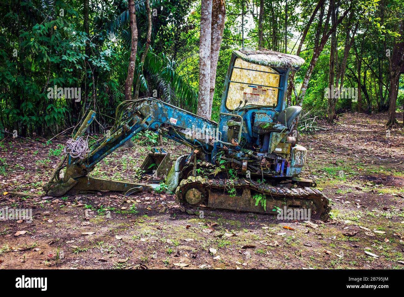Verlassene, verunfallene und korrodierende Komatsu-Minibagger im Regenwald auf Borneo, Malaysia Stockfoto