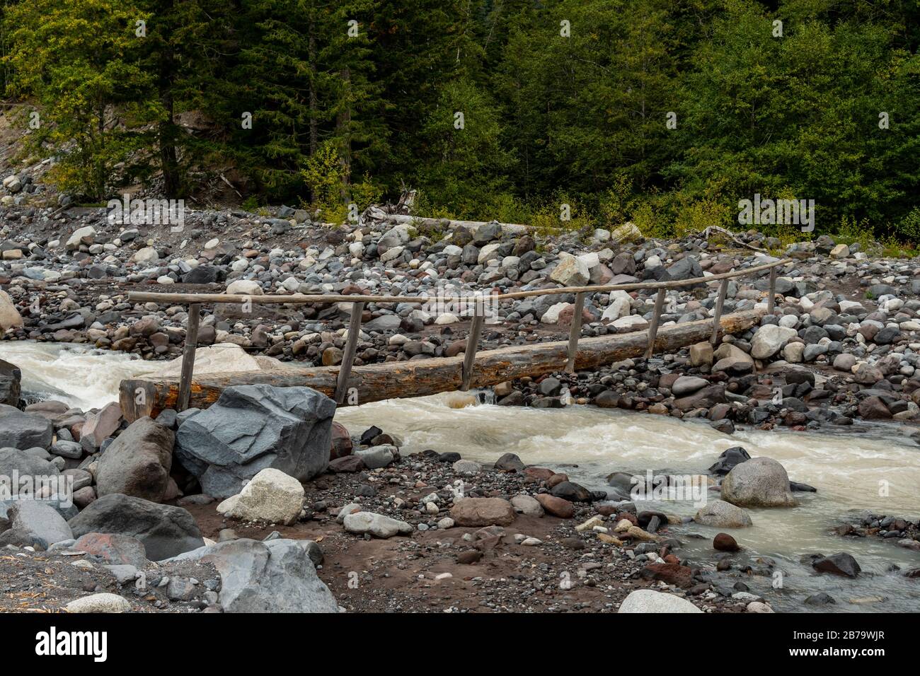 Brücke über den Nisqually River in der Washington Wilderness Stockfoto