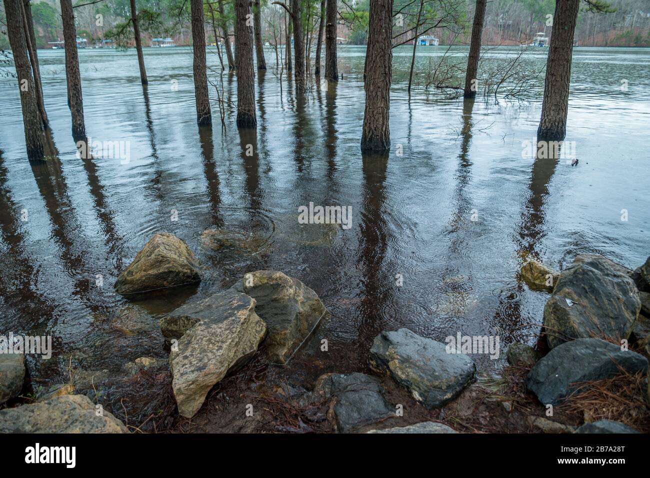 Überflutete Lake Lanier Georgia Park von historischen Regenfällen mit Bäumen und der Küste unter Wasser mit den Docks im Hintergrund an einem bewölkten regnerischen Tag Stockfoto