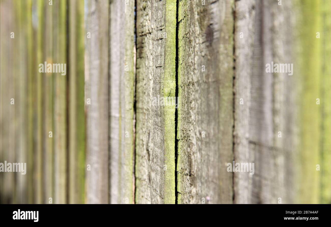Zaunplatten Stockfoto
