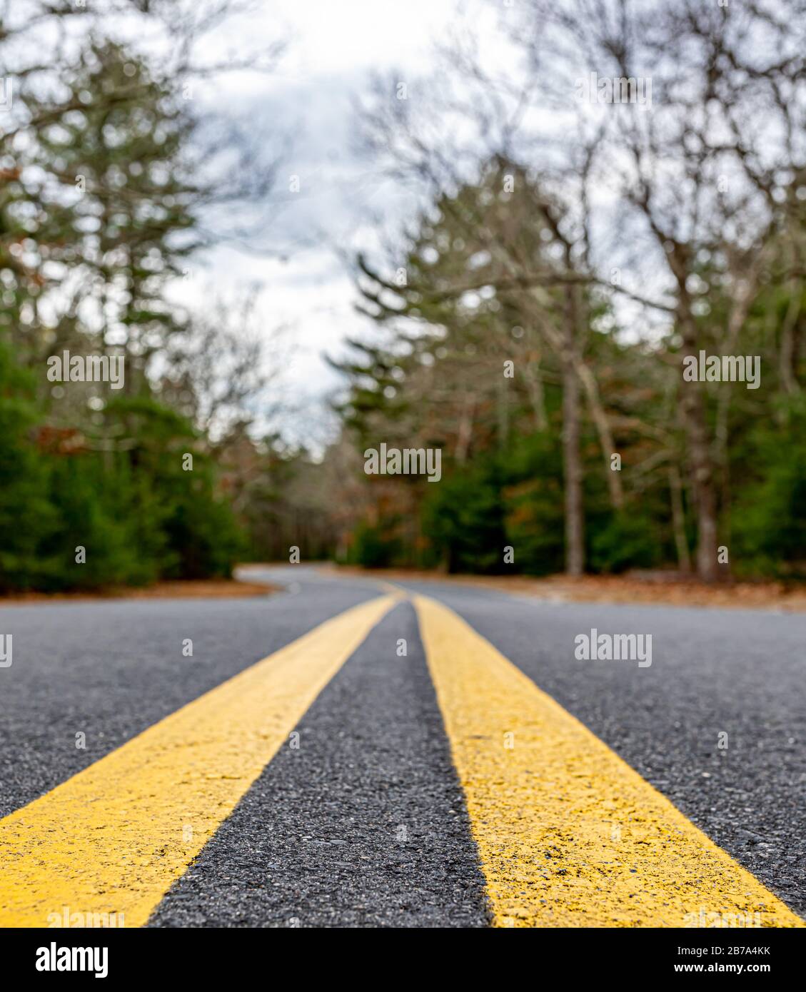 Nahaufnahme eines Doppelgelbes auf einer gepflasterten Straße in East Hampton, NY Stockfoto