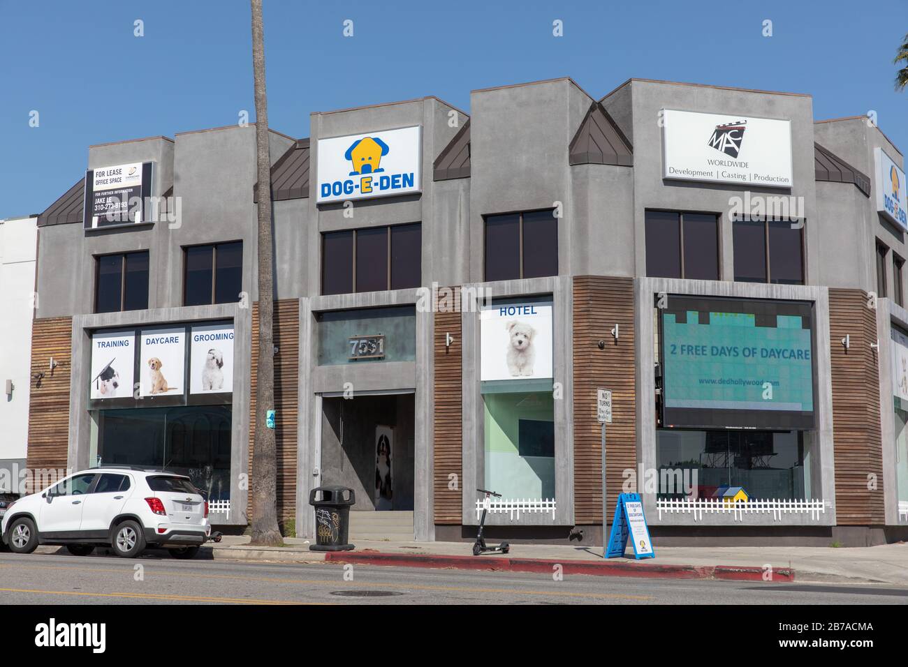Dog-E-den Hollywood Vorderansicht in LA Stockfoto