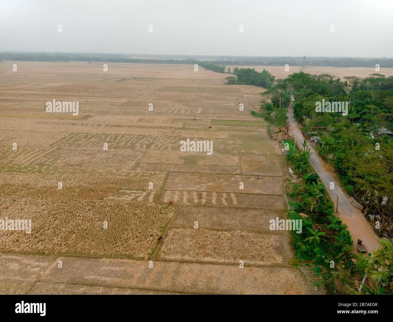 Blick auf das Dorf West Gudighata in Barguna. Das Bild wurde von der Turmspitze aufgenommen Stockfoto