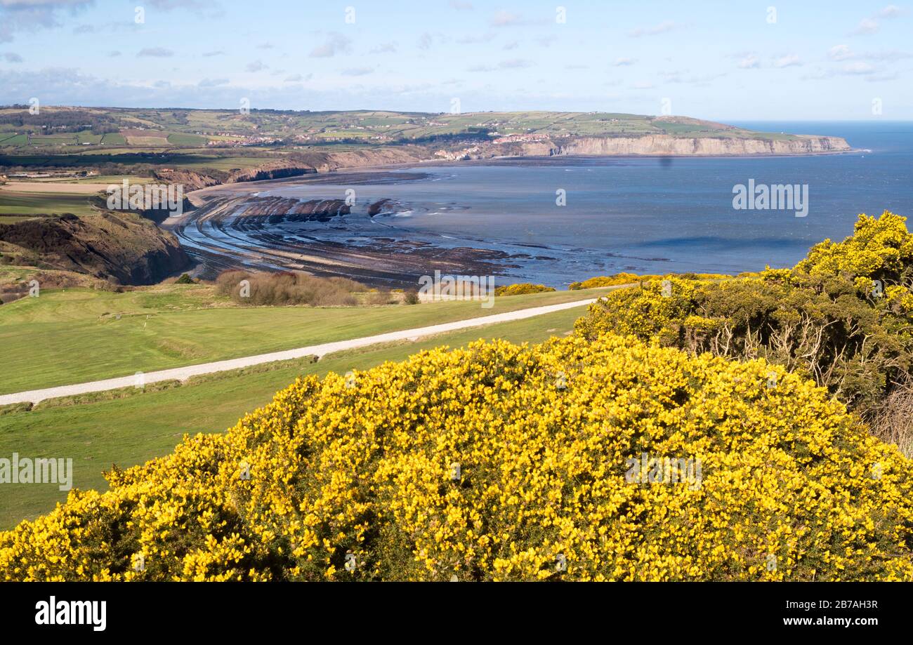 Blick auf Robin Hood's Bay von Ravenscar, North Yorkshire, England, Großbritannien Stockfoto