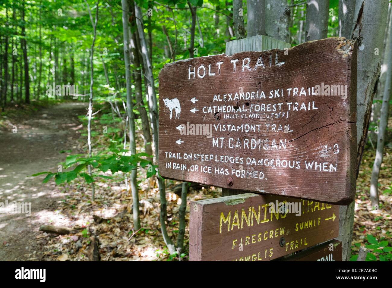 Der holt Trail in Orange, New Hampshire USA. Dieser Weg führt zum Gipfel des Cardigan Mountain. Stockfoto