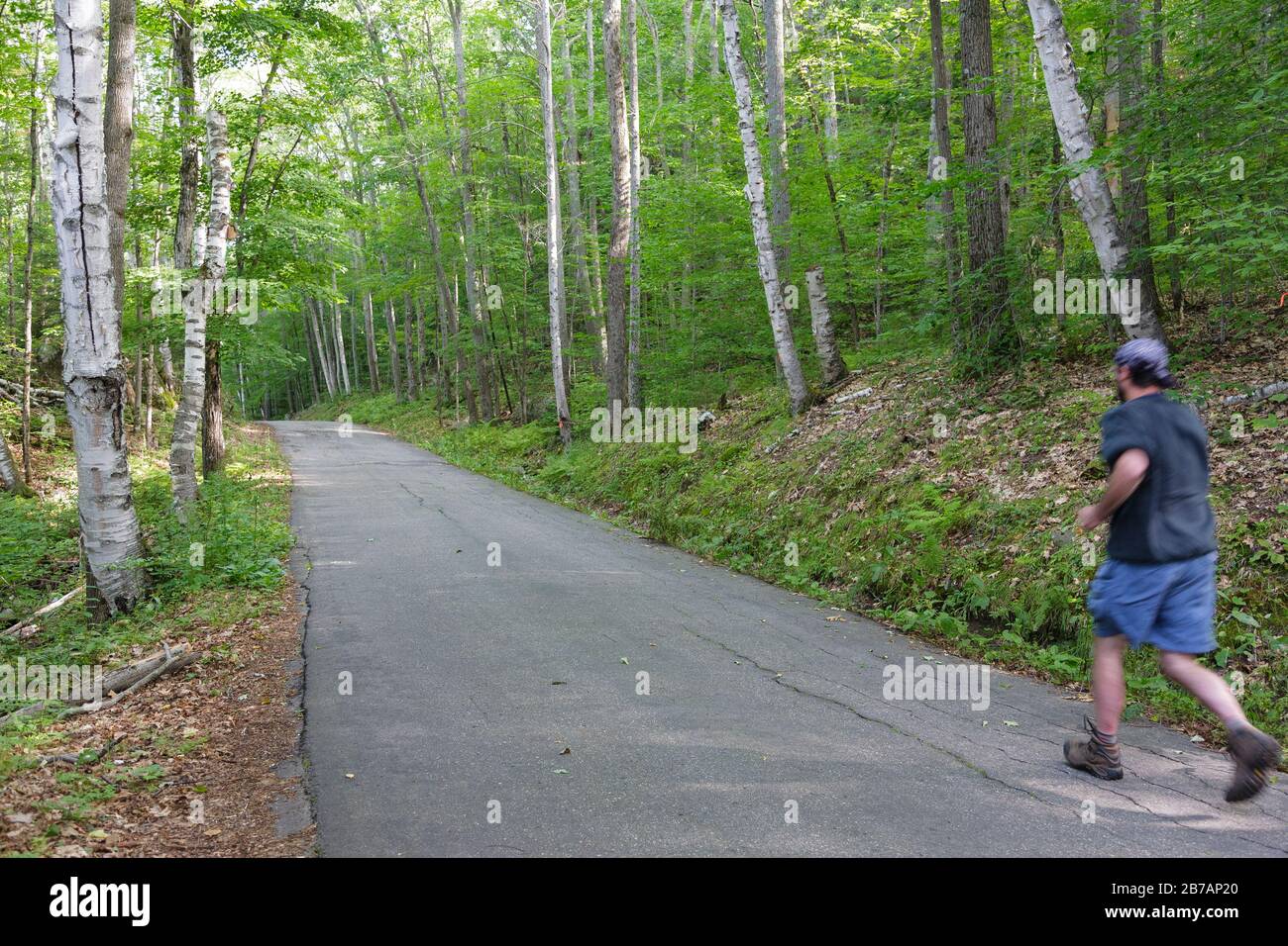 Man joggt auf Der Weeks State Park Road in Lancaster, New Hampshire. Diese Straße führt zum John Wingate Weeks Estate auf dem Gipfel des Mt. Interessent. Buil Stockfoto