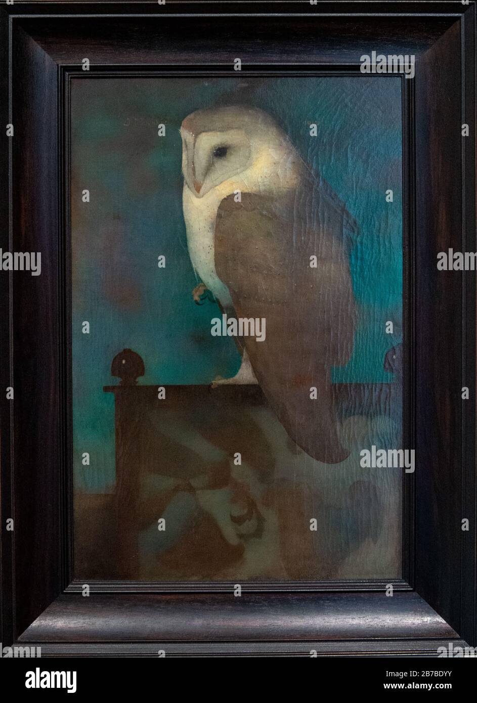 Grote uil op scherm door Jan Mankes Stockfoto