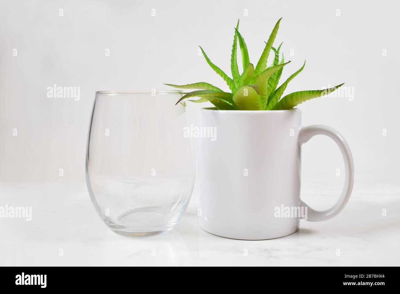 Dieses Tassen Mockup bietet ein stielloses Weinglas neben einer 11-Unze-Kaffeetasse. Im Becher ruht eine fröhliche grüne Aloe vera Pflanze. Stockfoto