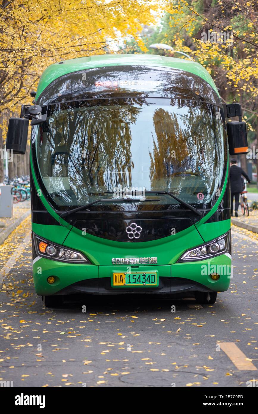 Chengdu, Provinz Sichuan, China - 1. Dezember 2018: Elektrischer grüner Bus auf der Straße im Herbst Stockfoto