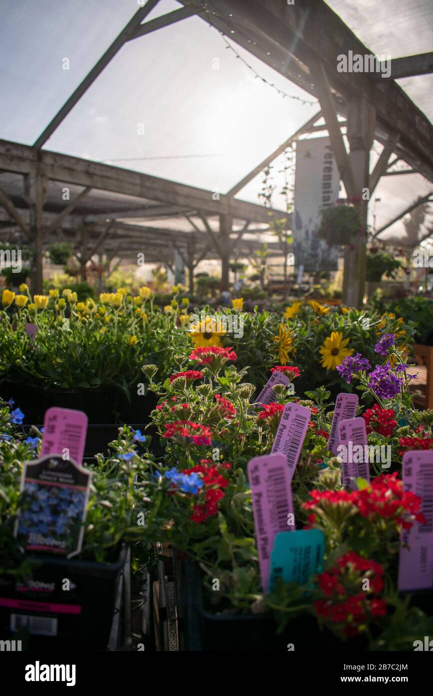 Das Sloat Garden Center ist eine Baumschulkette, die viele verschiedene Arten von Pflanzen für Gärten verkauft. Dieser befindet sich in Kentfield, CA. Stockfoto