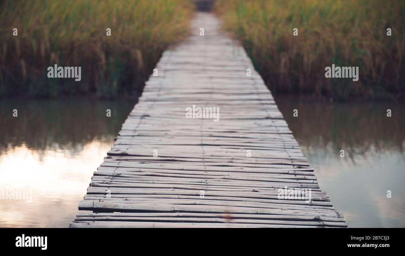 Eine alte Holzbrücke aus Bambus über dem Fluss und Reisfeld Stockfoto