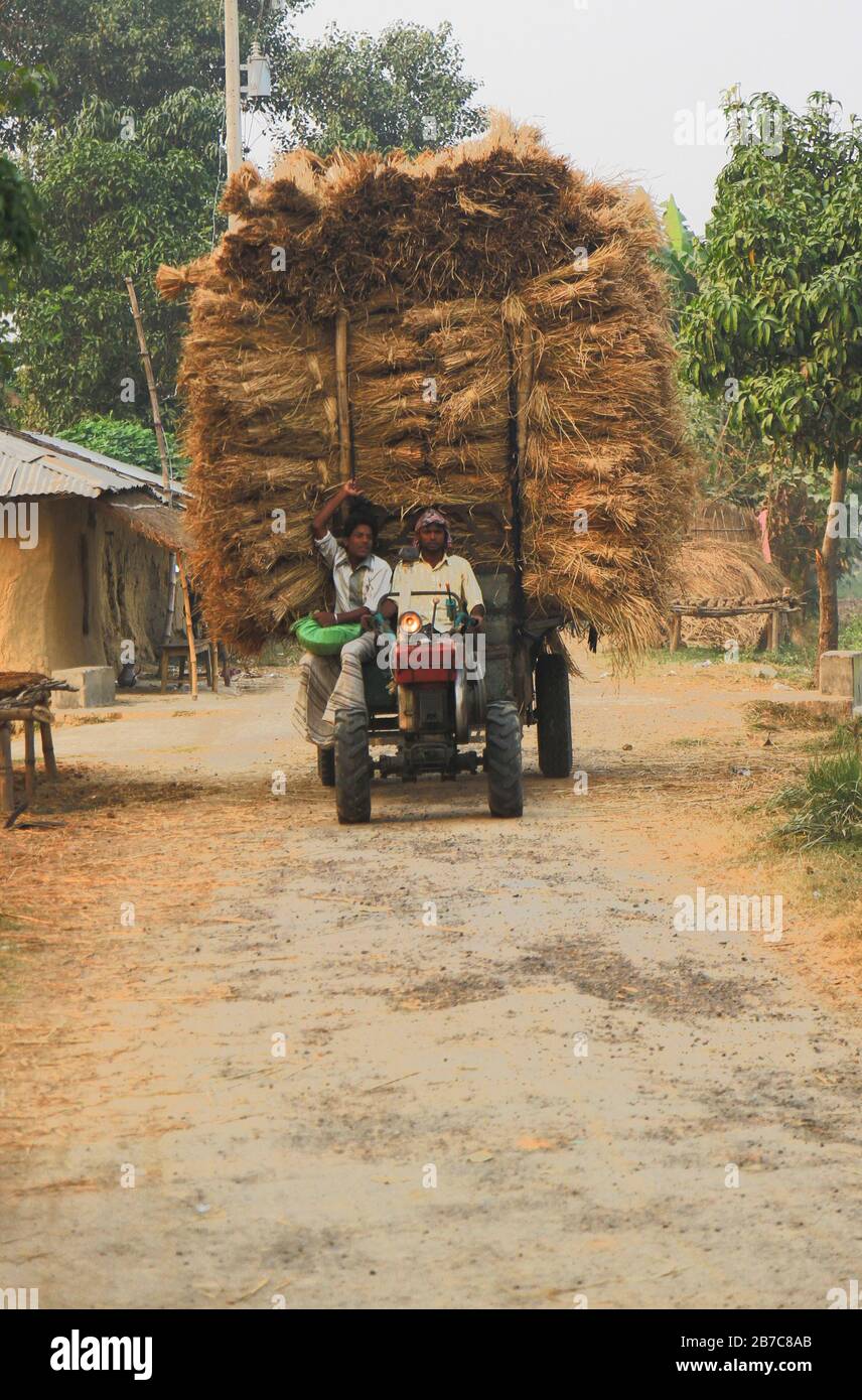 Bangladeschische Bauern transportieren ihr geerntetes Reisfeld mit einer Motorfräse nach Hause. Maschinelles Transportsystem zur Senkung der Transportkosten. Stockfoto