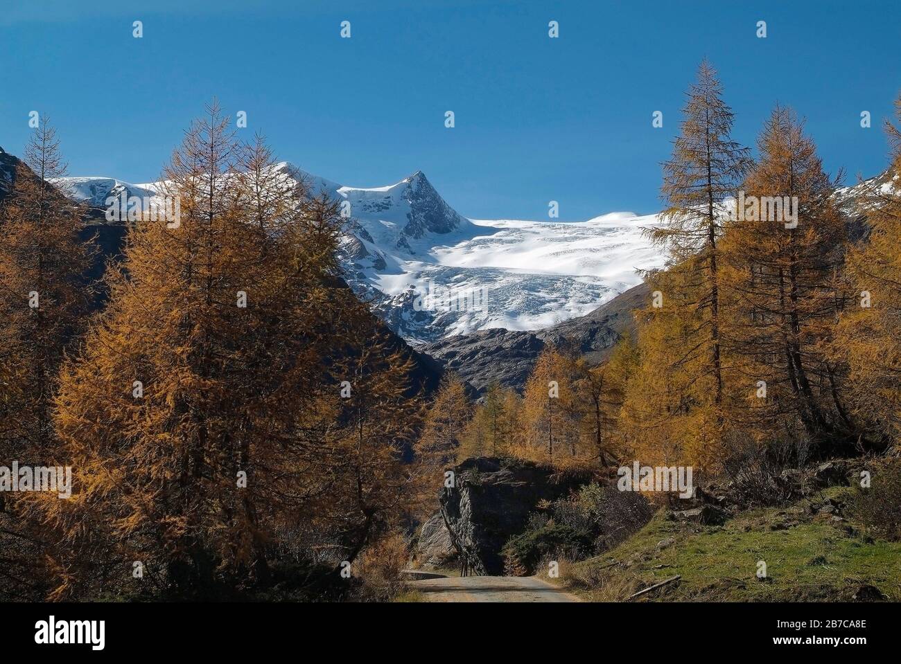 Österreich, österreichische alpen mit Schlatenkees-Gletscher und ...