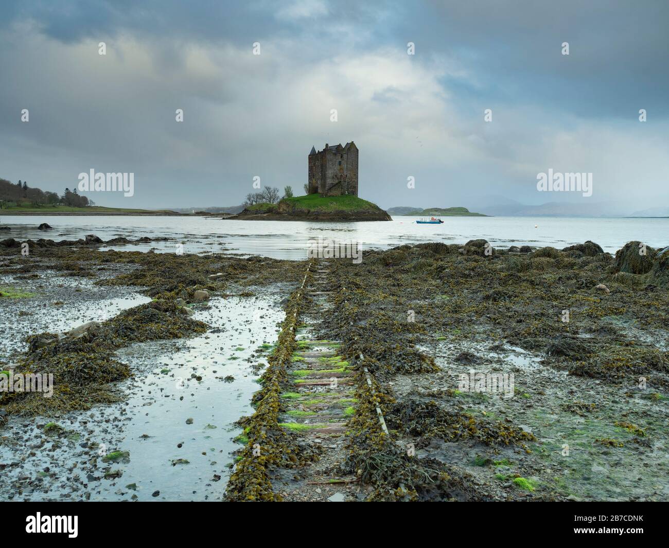 OLYMPUS DIGITALKAMERA Stockfoto