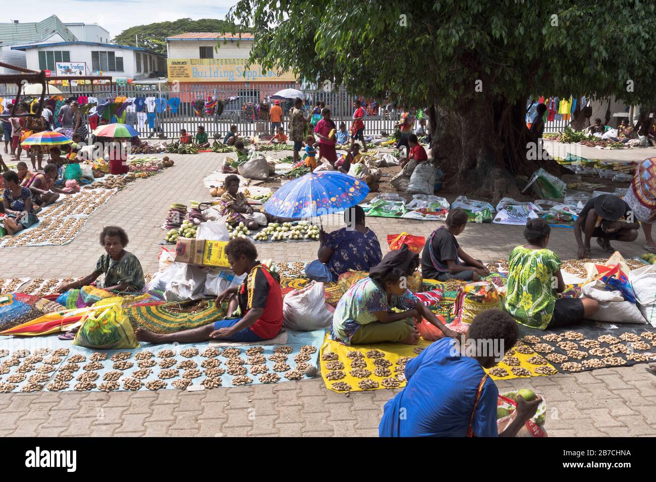 dh MADANG PAPUA-NEUGUINEA Einheimische Frauen verkaufen Obst Vegtables mit Produkten Gemüsemarkt png Menschen Stockfoto