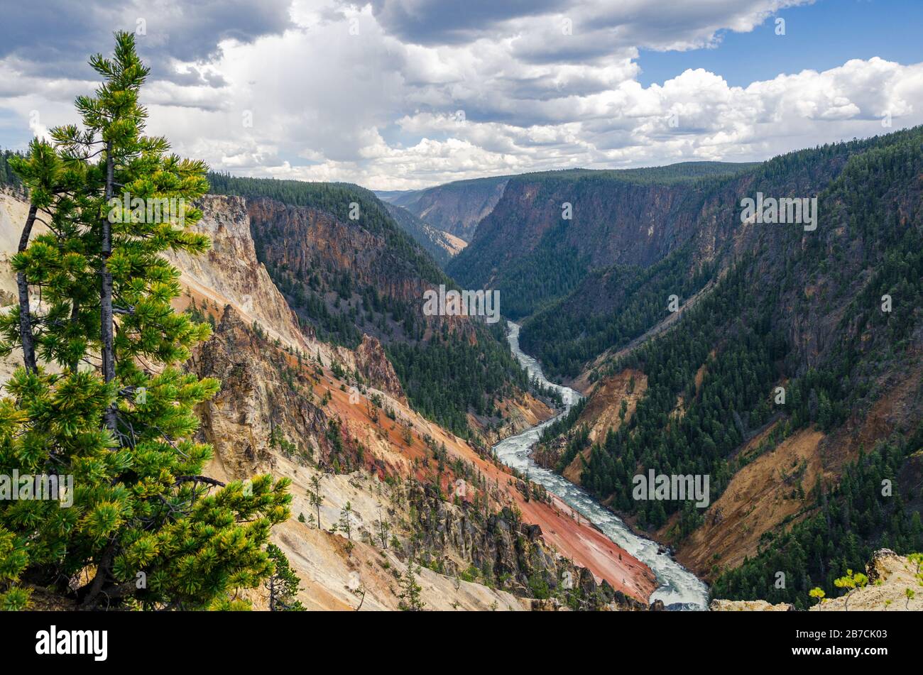 Yellowstone River am Grand Canyon des Yellowstone National Park Wyoming USA Stockfoto
