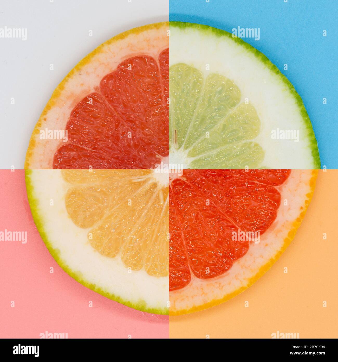 Vier Viertel Grapefruit und Sweety auf verschiedenen farbigen Hintergründen angeordnet Stockfoto