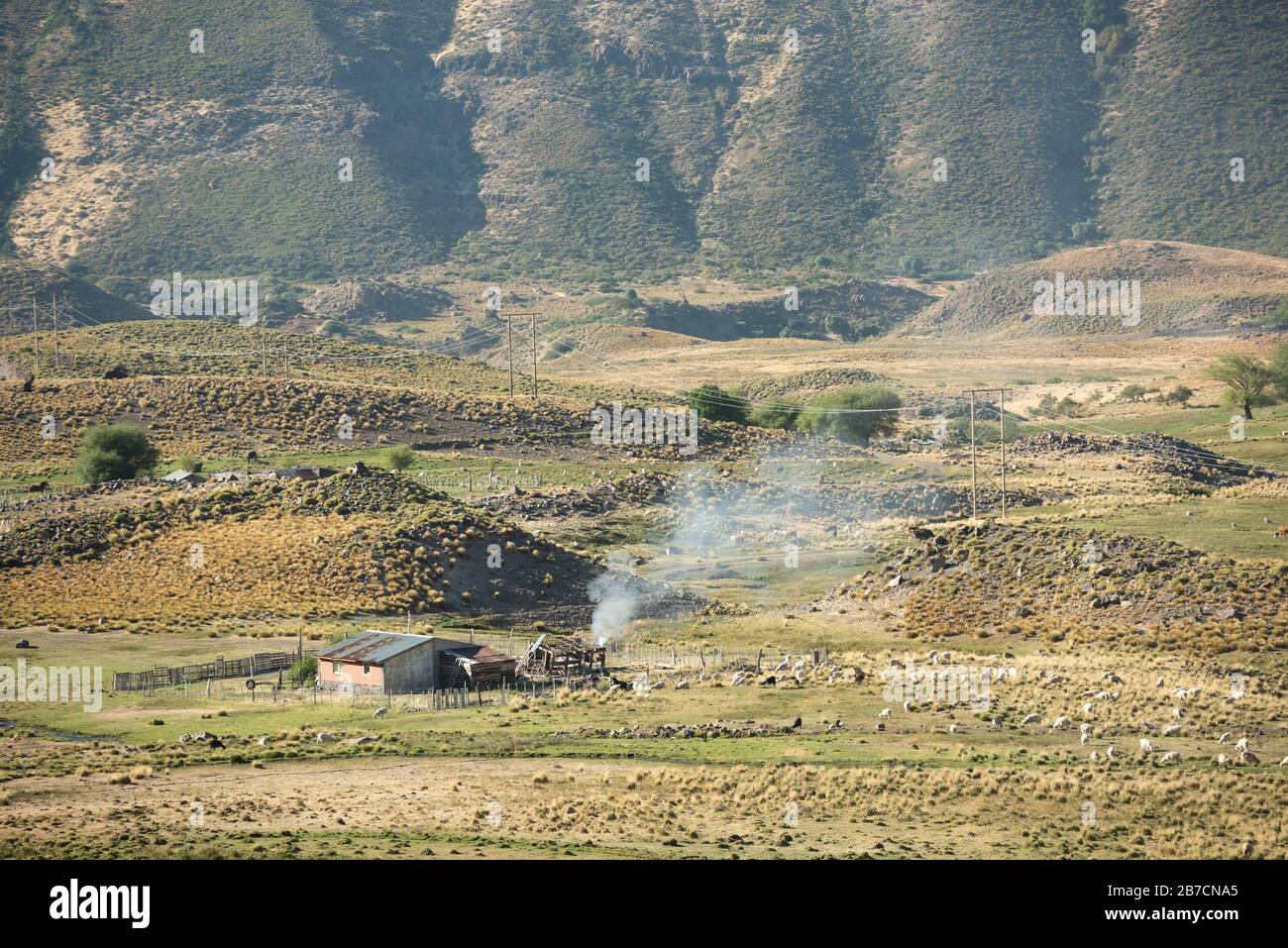 Neuquen, Argentinien - 3. März 2020: Dies ist ein typischer Bauernhof in Mapuche in der Nähe des Dorfes Caviahue im Westen Argentiniens. Dieser Stamm 'Mapuche' war als Ara bekannt Stockfoto