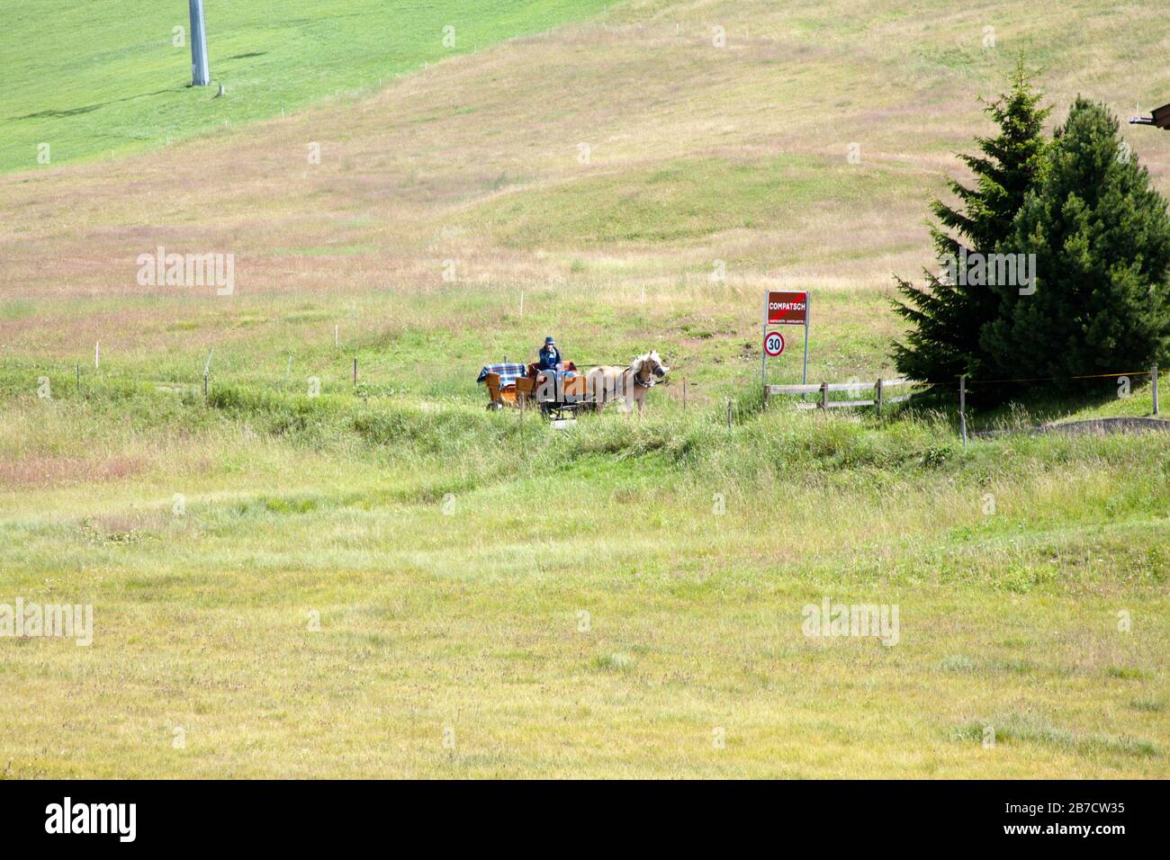 Kutsche und Pferdekutsche zwischen Heuwiesen und Pfaden das Dorf Kompatsch Seiser Alm oberhalb des Grödner Sommers die Dolomiten Südtirol Italien Stockfoto