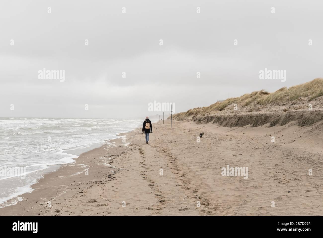 Koksijde, Belgien - 26. Februar 2020: Frau, die an einem kalten und windigen Tag am Strand spazieren geht Stockfoto