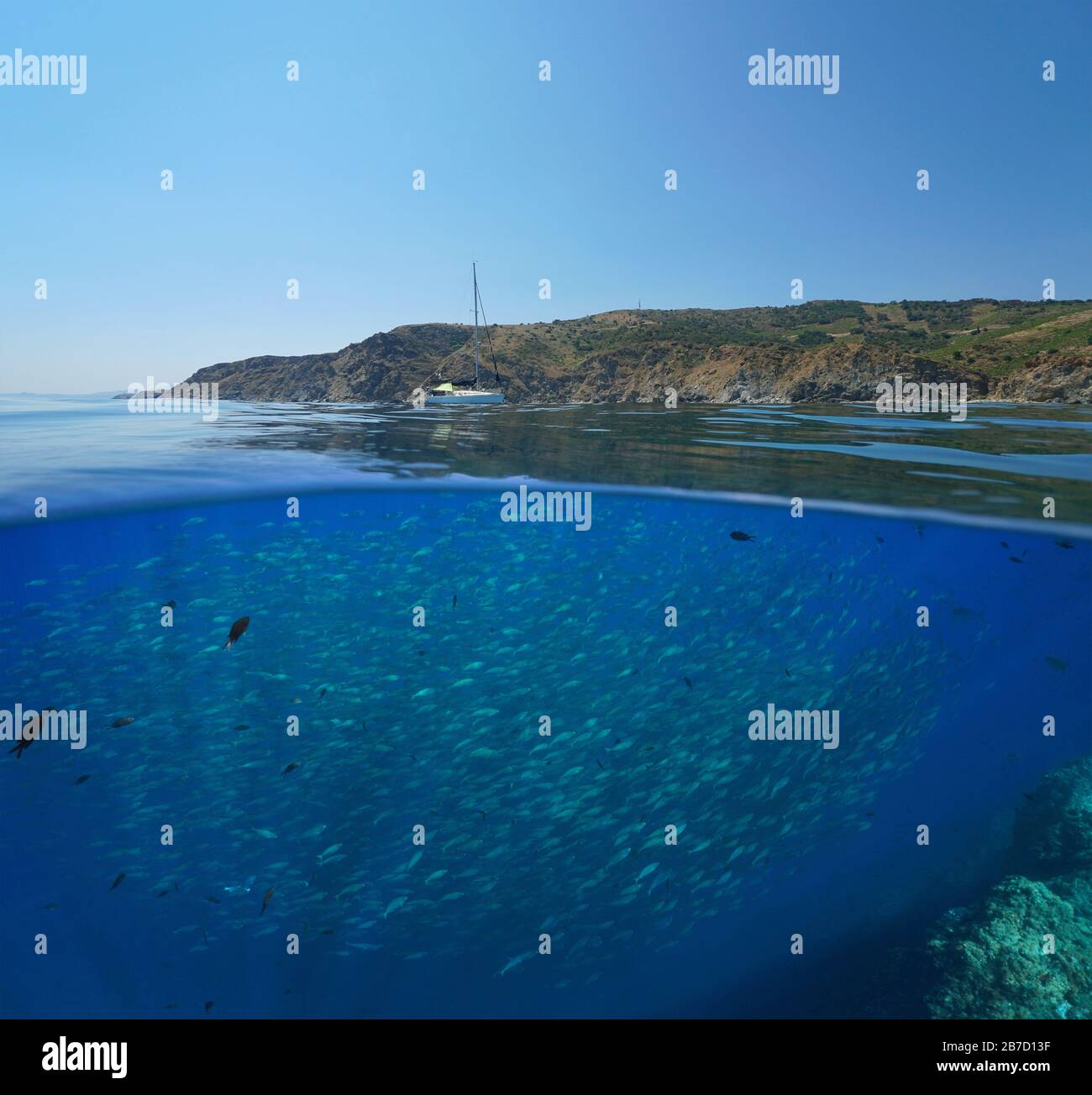 Mittelmeer Fischschule Unter Wasser Und Felsige Kuste Im Meeresschutzgebiet Von Cerbere Banyuls Geteilter Blick Uber Die Unterwasseroberflache Frankreich Stockfotografie Alamy