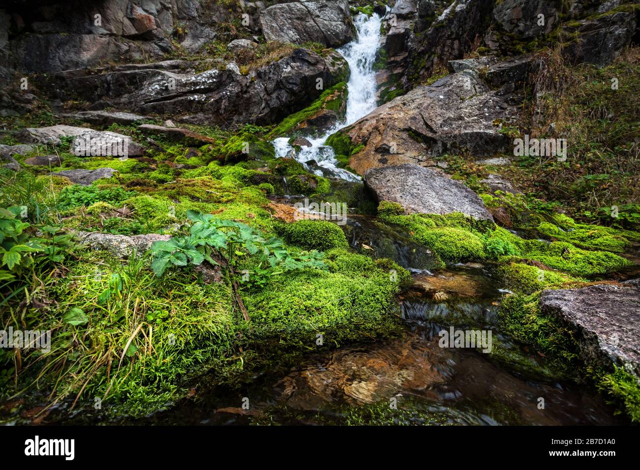 Wasserfall im Bergwald in Kasachstan, Zentralasien Stockfoto