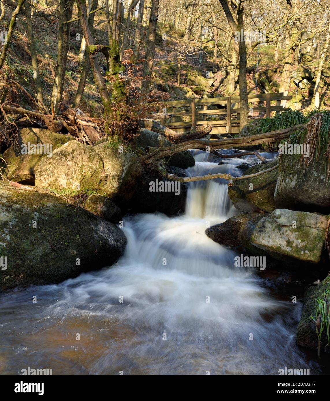 Burbage Brook, Padley Gorge, Longshaw Estate, Peak District National Park, Derbyshire, England, Großbritannien Stockfoto