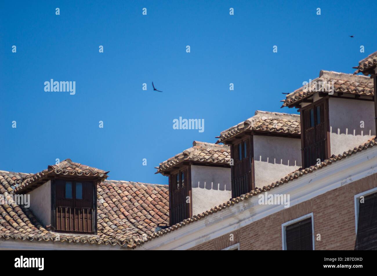 Ländliche Dächer mit Schwalben, die in blauem Himmel fliegen Stockfoto