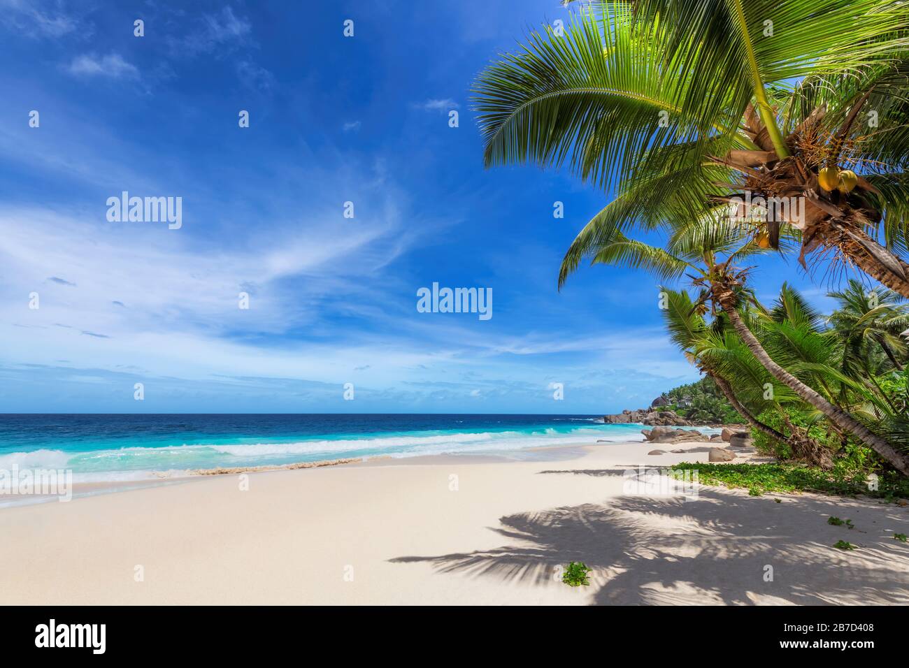 Tropisch sonniger paradiesischer Strand Stockfoto
