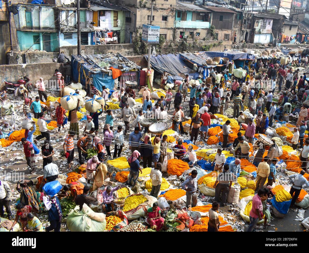 Einer der größten Blumenmärkte Asiens - Malik Ghat, Kolkata, Indien - mit einer Vielzahl von Blumen. Stockfoto