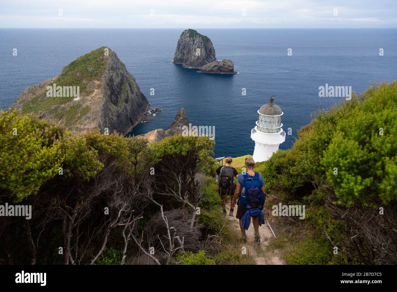 Wanderer, die auf dem Cape Brett Walkway, Northland, Neuseeland, in Richtung Cape Brett Lighthouse abfahren Stockfoto