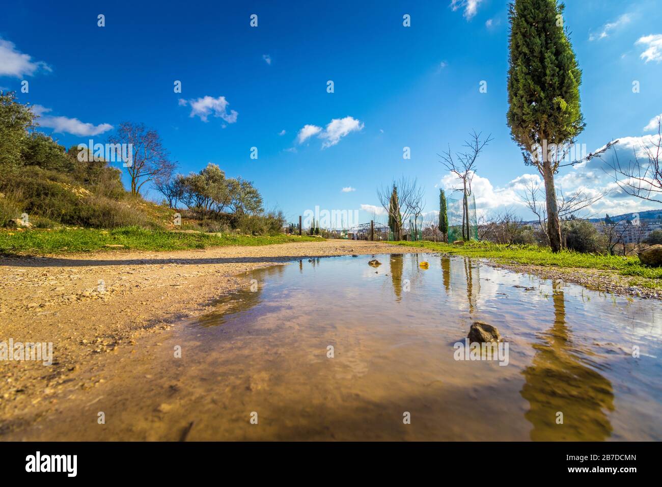 Winterpfütze auf einem von Pflanzen umgebenen Schmutzpfad. Im Deer Valley, (emek hatsvaim) Jerusalem, Israel. Stockfoto