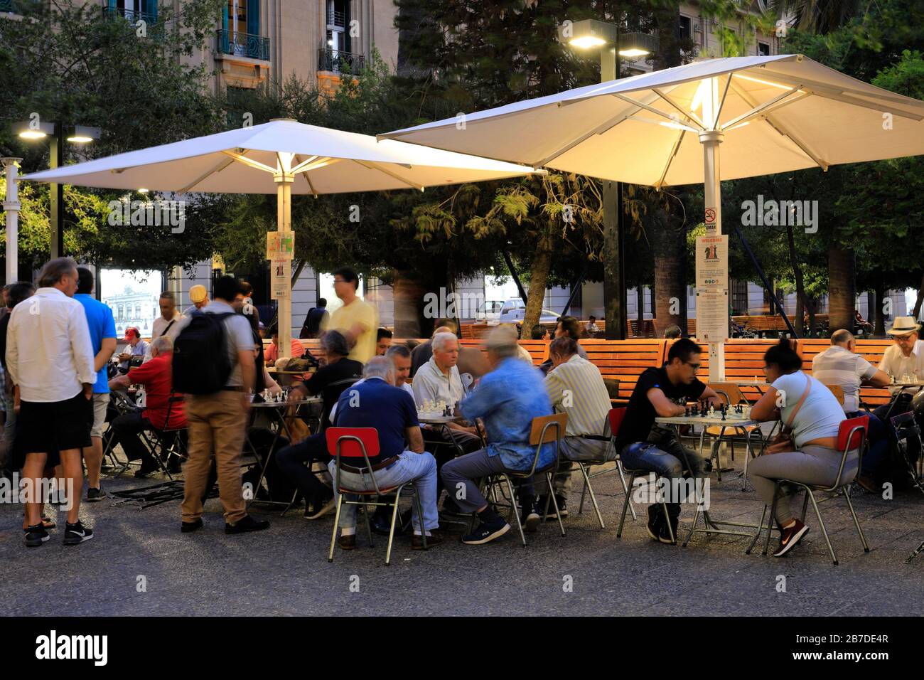 Leute, die Schach auf der Plaza de Armas, Metropolitan Region, Santiago City, Chile spielen Stockfoto