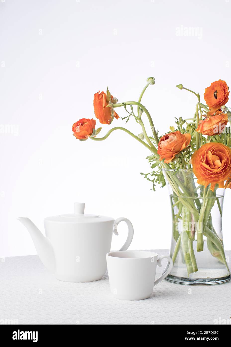 Platz für Text auf dem nahtlosen Hintergrund über dem Teeset und Blumen mit moderner Studiobeleuchtung Stockfoto