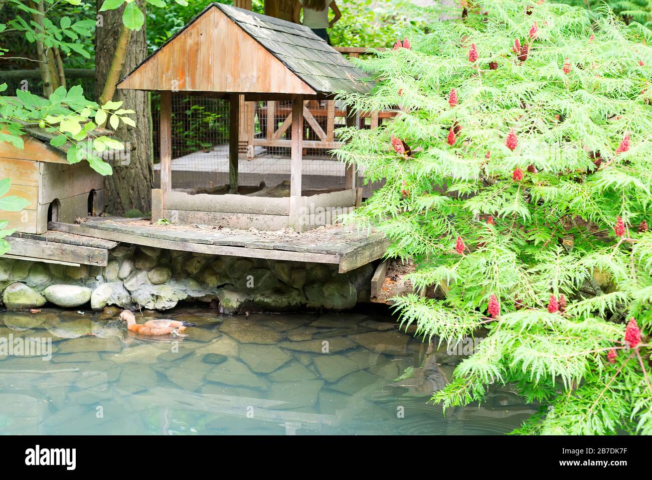Schwimmendes entenhaus auf dem teich Fotos und Bildmaterial in hoher
