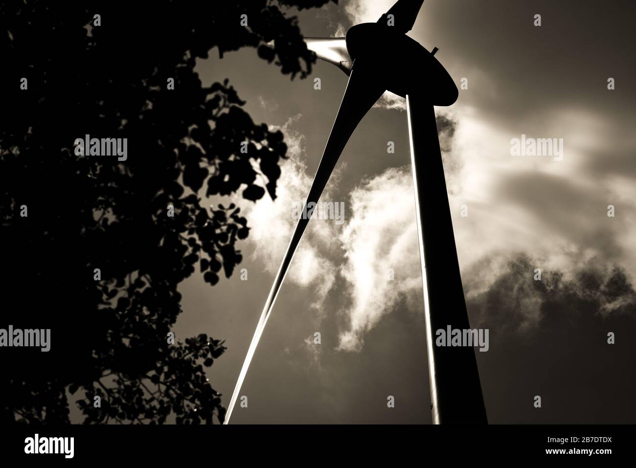 Nachhaltige Stromerzeugung mit an- oder Offshore-Windenergieanlagen, die gegen die Sonne und auf moderne Weise erfasst werden und auf Rotor und Mast blicken Stockfoto