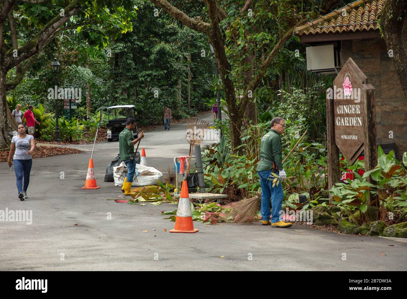 Gärtner bei der Arbeit im Botanischen Garten von Singapur gesehen. Stockfoto