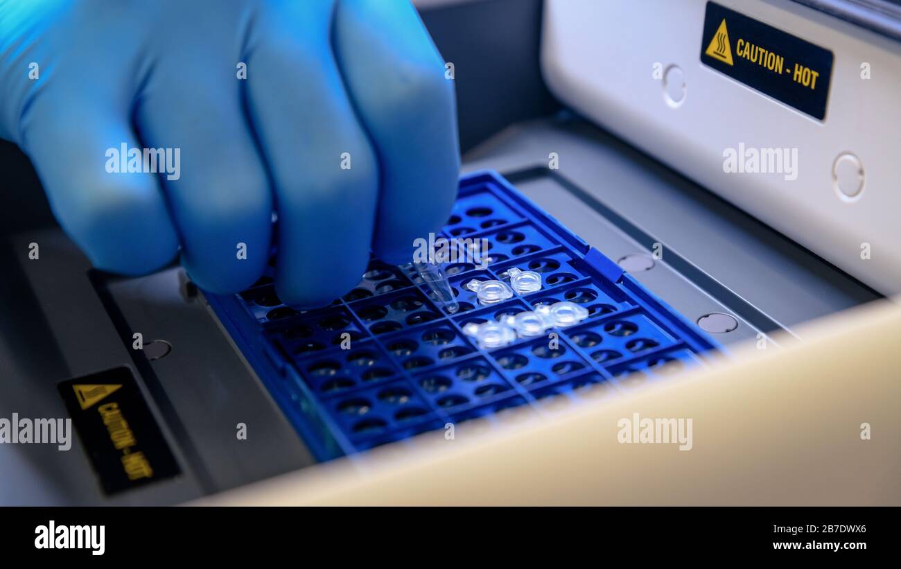 Laden eines DNA-Röhrchens in eine PCR-Thermocyclermaschine (Polymerase-Kettenreaktion) in einem Biowissenschaftlaboratorium. Konzept von Wissenschaft, Labor und Studium Stockfoto