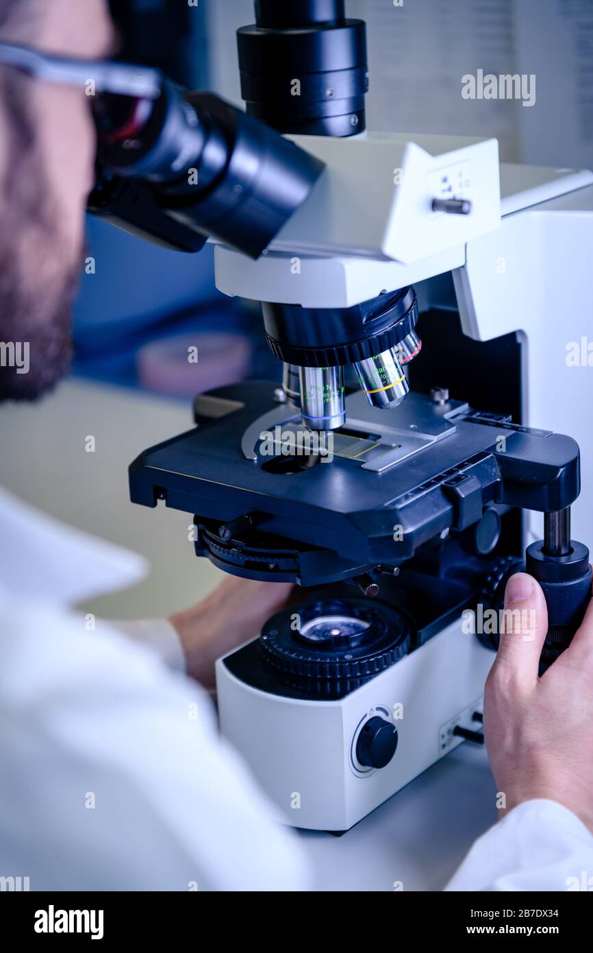 Wissenschaftlicher Umgang mit einem Lichtmikroskop untersucht eine Laborprobe für die pharmazeutische Biowissenschaftsforschung. Konzept von Wissenschaft, Labor und Studie o Stockfoto