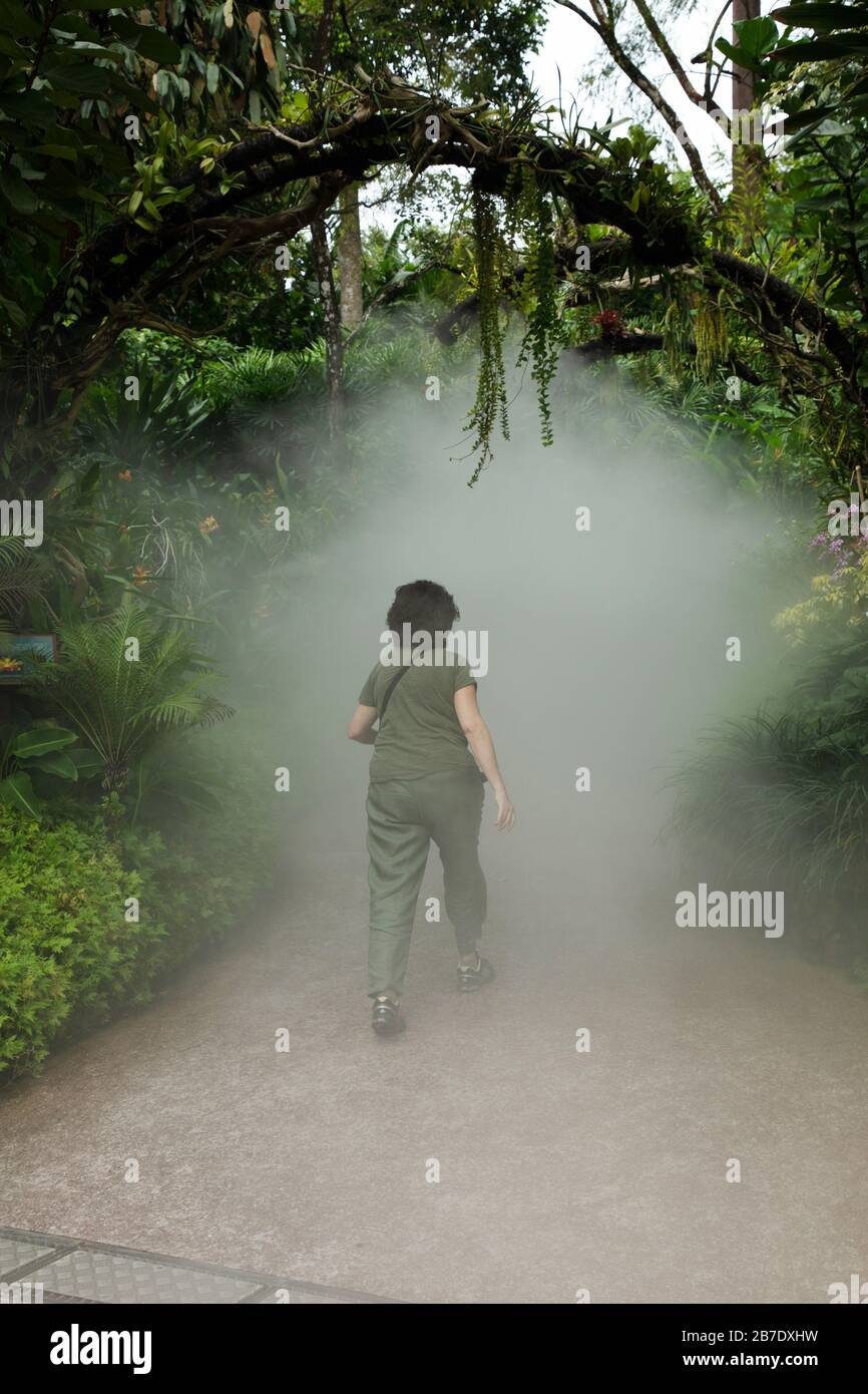 Frau in einem Nebelgarten des nationalen Orchideengartens in Singapur gesehen. Stockfoto