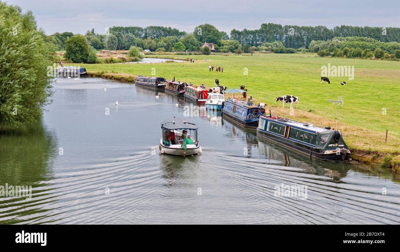 Schmalboote, die an einem Kuhfeld auf der Themse bei Lechlade, Cotswolds, Oxfordshire, England, Großbritannien, Großbritannien Stockfoto