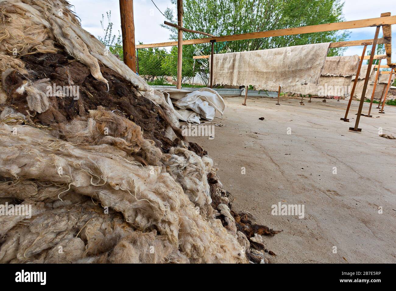 Gestapelte Schafhaare, die mit Filzstoffen gefühlt werden, die im Hintergrund in Issyk Kul, Kirgisistan hängen Stockfoto