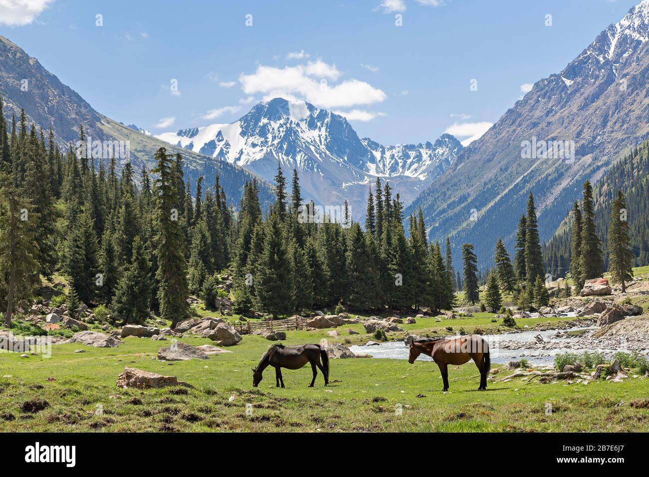 Blick über die Berge in Barskaun, Issyk Kul, in Kirgisistan Stockfoto