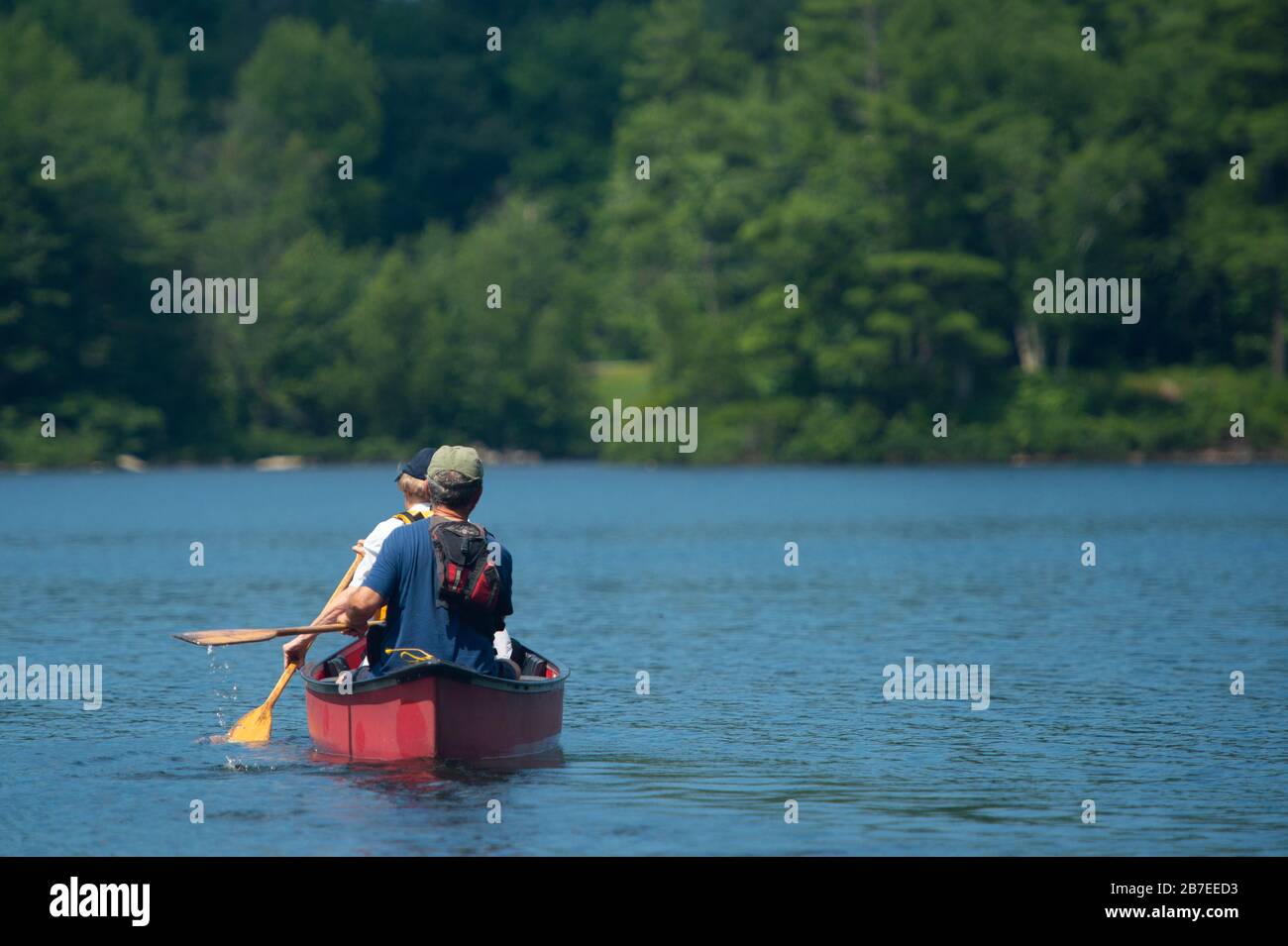 Hellrotes Kajak mit zwei Ruderern, am See mit von Bäumen gesäumtem Ufer, von hinten betrachtet Stockfoto