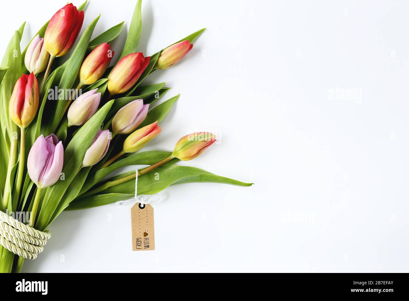 Blumenstrauß aus bunten Tulpen mit grünem Band für Ostern, Feier, Glückwünsche, Grüße, Muttertag Stockfoto