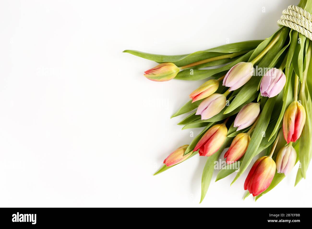 Blumenstrauß aus bunten Tulpen mit grünem Band für Ostern, Feier, Glückwünsche, Grüße, Muttertag Stockfoto