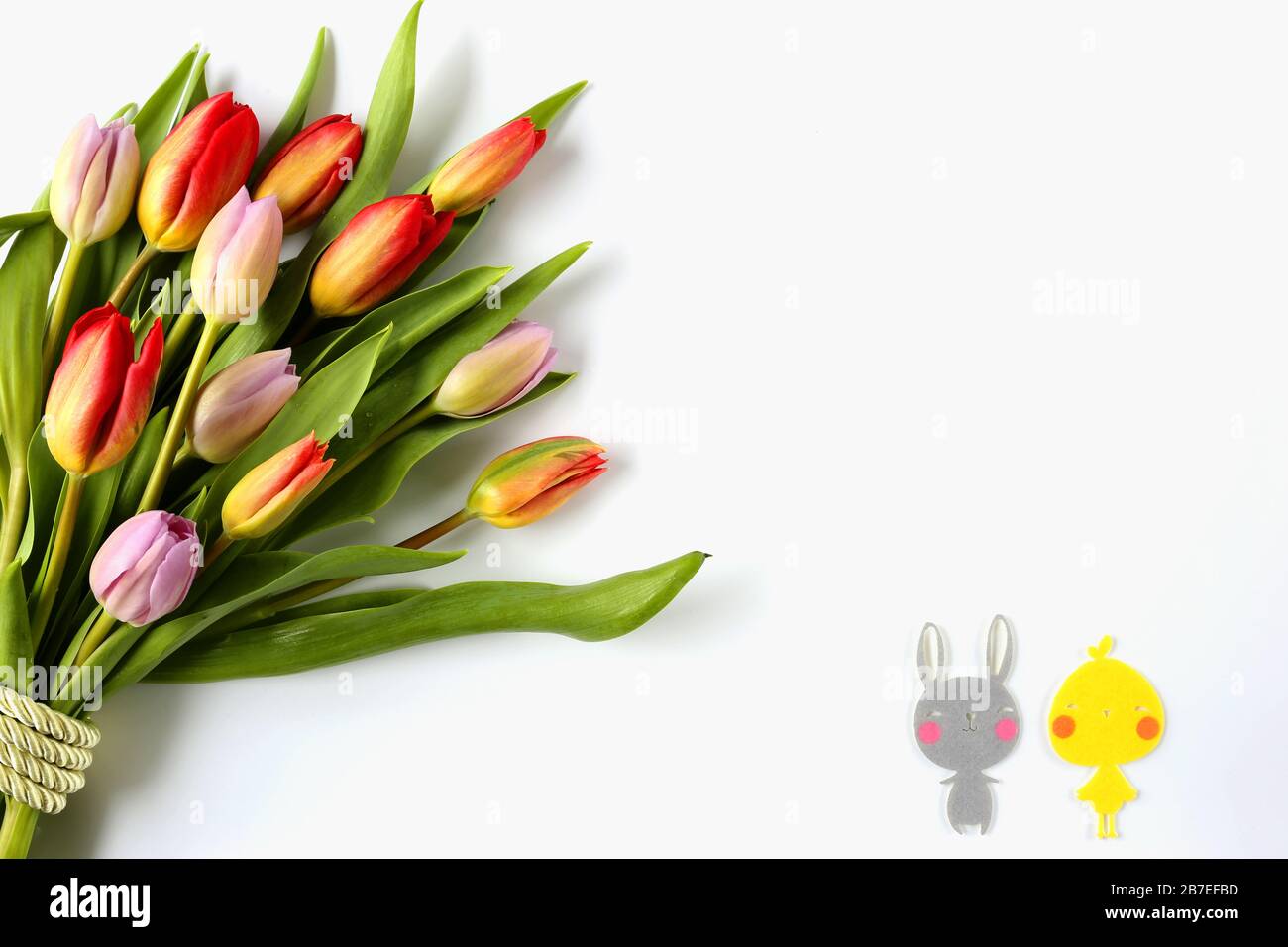 Blumenstrauß aus bunten Tulpen mit grünem Band für Ostern, Feier, Glückwünsche, Grüße, Muttertag Stockfoto