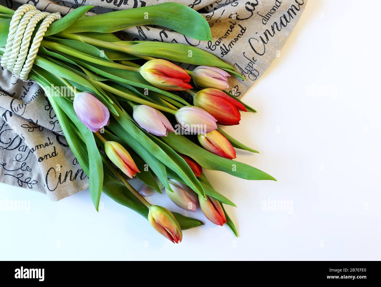 Blumenstrauß aus bunten Tulpen mit grünem Band für Ostern, Feier, Glückwünsche, Grüße, Muttertag Stockfoto