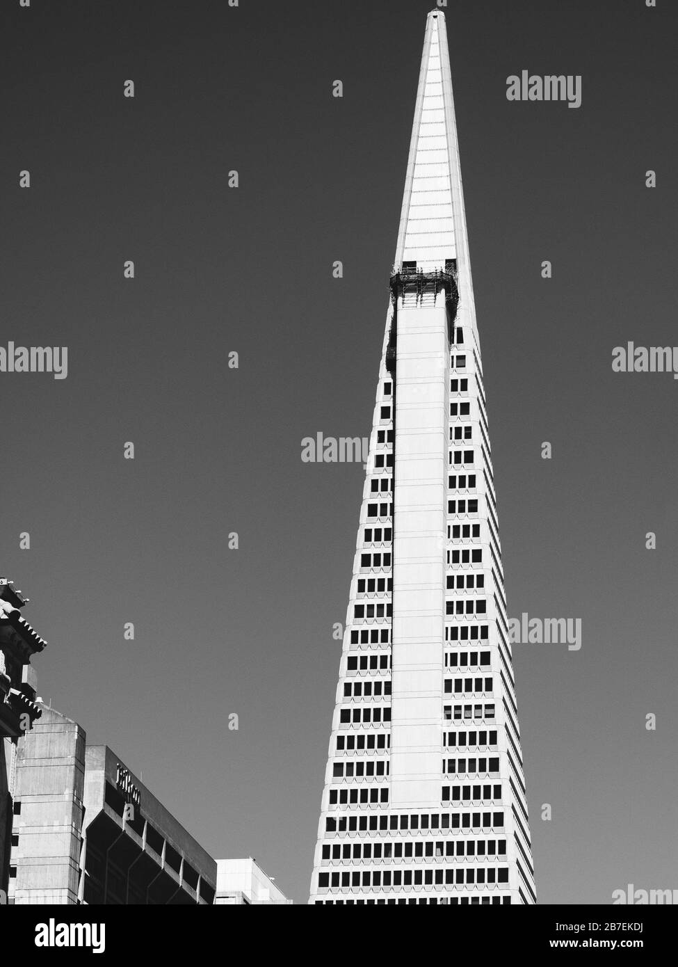 Nahaufnahme des oberen Teils des Transamerica Pyramid Building, San Francisco in Graustufen Stockfoto
