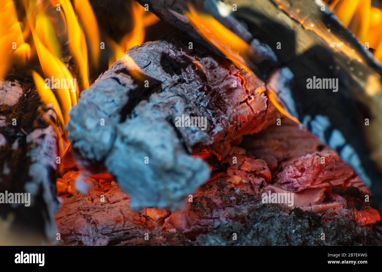 das Feuer, die hellen Flammen Stockfoto